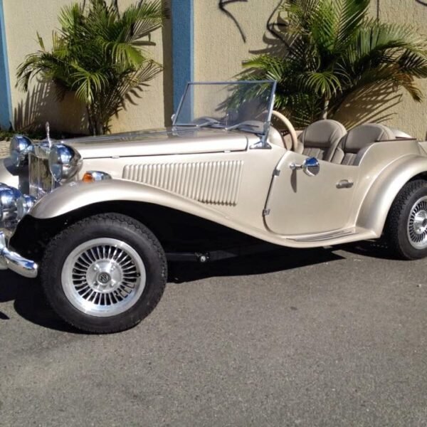 12316482_1244452605572341_7347935891546747885_n