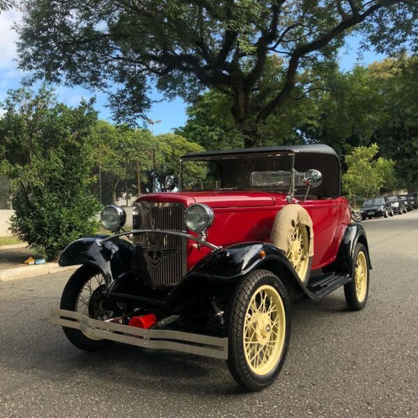 172136786_6030577413626479_6339949401680059091_n